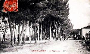 Saint-Lucien - Pepiniere - 1914